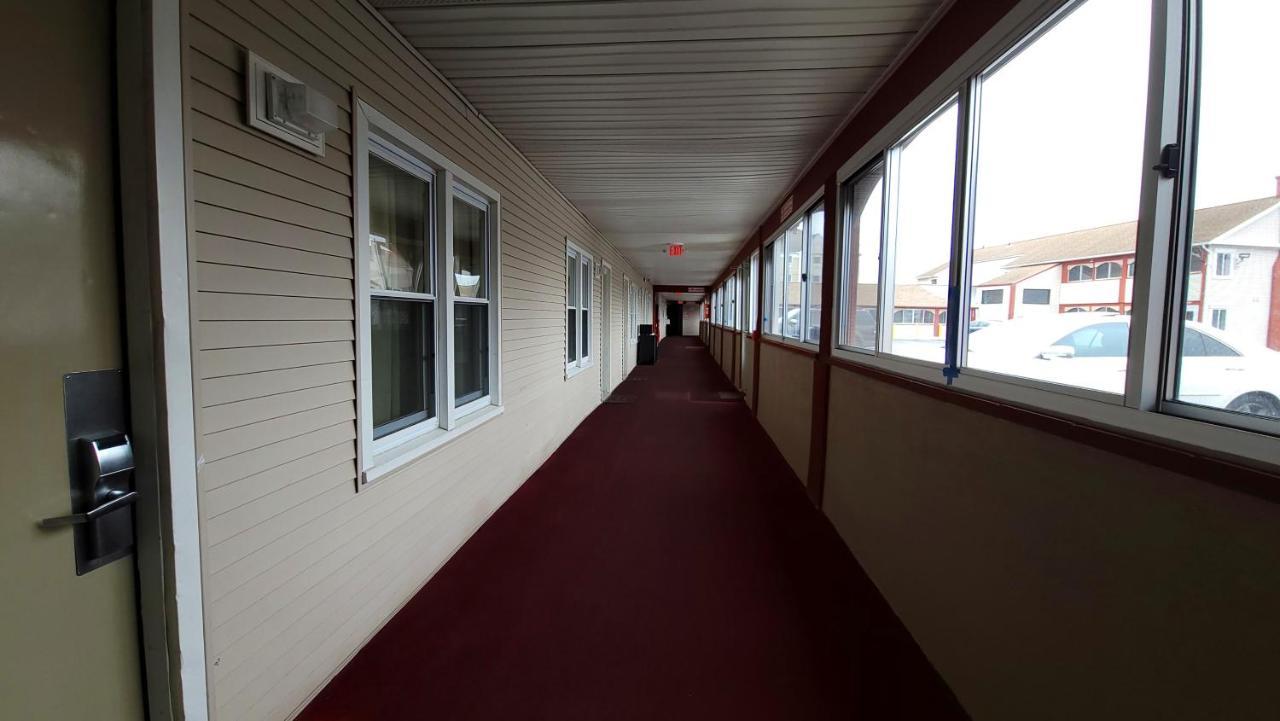 Red Carpet West Springfield